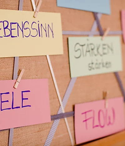 Pinwann zum Brainstormen